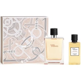 Hermes Terre D'hermes EdT 100 ml + Shower Gel 80 ml Gift Set