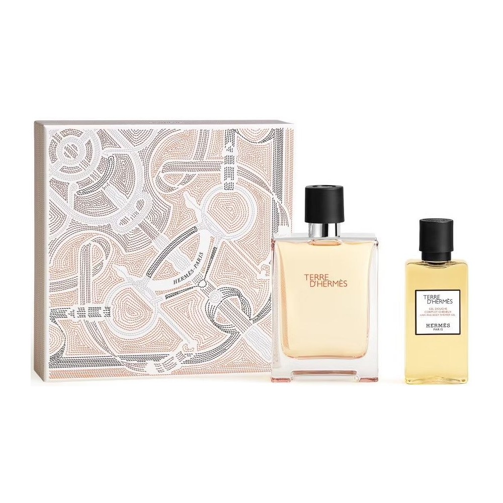 Hermes Terre D'hermes EdT 100 ml + Shower Gel 80 ml Gift Set