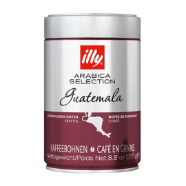 Illy Arabica Selection from Guatemala whole bean 250 g / 8.82 oz