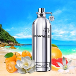Montale Soleil de Capri Eau de Parfum 100 ml / 3.4 fl oz