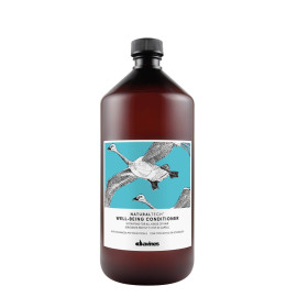 Davines, Well Being, Hair Conditioner, For Hydration, 1000 ml