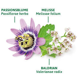 Bad Heilbrunner Schlaf- und Nerven Tee (8x1,75g)