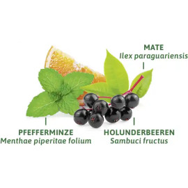 Bad Heilbrunner Figur-Fit (8x2g)