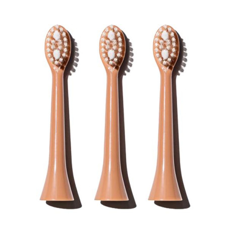 Spotlight Oral Care Rose Gold Replacement Sonic Heads