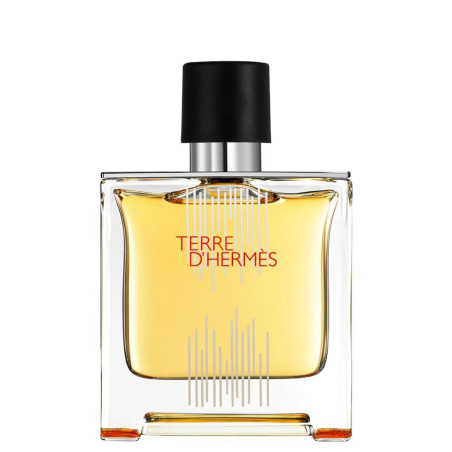 Hermes, Terre d'Hermes Flacon H 2021, Parfum, For Men, 75 ml