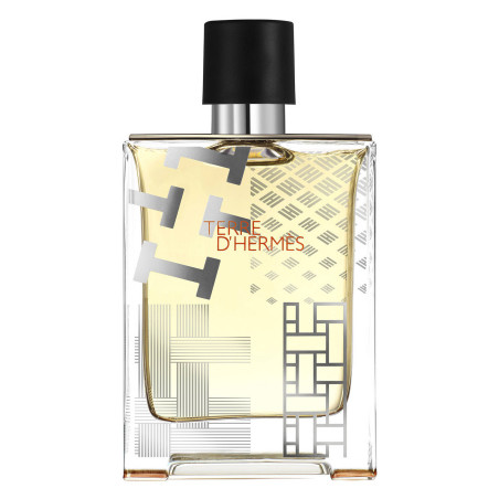 Hermes, Terre d'Hermes Flacon H Limited Edition, Eau De Toilette, For Men, 100 ml
