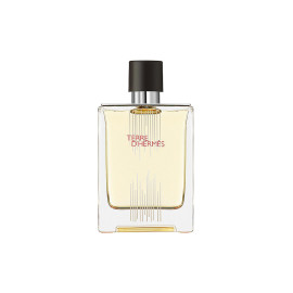 Hermes, Terre d'Hermes Flacon H Limited Edition, Eau De Toilette, For Men, 100 ml