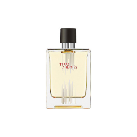 Hermes, Terre d'Hermes Flacon H Limited Edition, Eau De Toilette, For Men, 100 ml