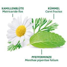 Bad Heilbrunner Magen und Darm 8 Teebeutel