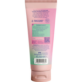 CD Girl Feenmagie 3-in-1 Shower Gel, Shampoo & Conditioner 250 ml / 8.4 fl oz