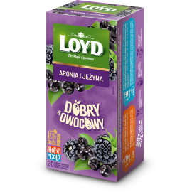 Loyd Good & Fruity Chokeberry and Blackberry 20 Teebeutel