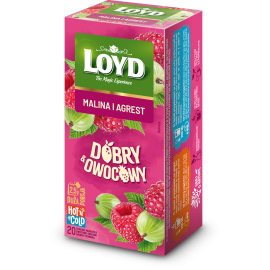 Loyd Good & Fruity Raspberry and Gooseberry 20 Teebeutel