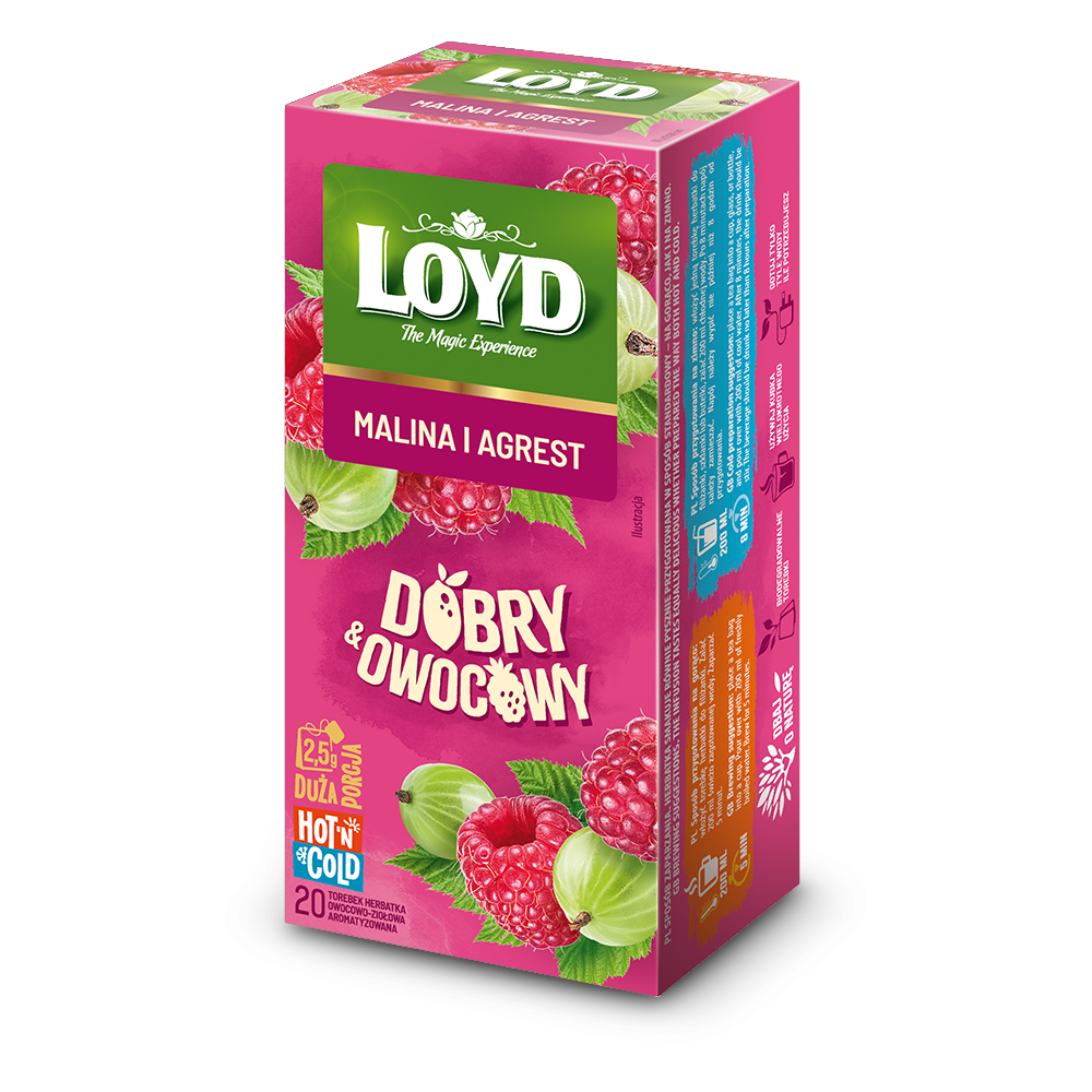 Loyd Good & Fruity Raspberry and Gooseberry 20 Teebeutel