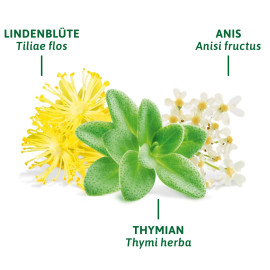 Bad Heilbrunner Husten- und Bronchial / Husten- und Bronchial (8x2g)