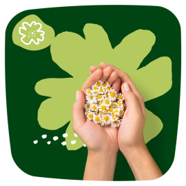 Naturella Ultra Night Pads 28 pcs