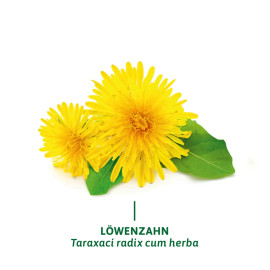 Bad Heilbrunner Fettverdauungstee (8x2 g)