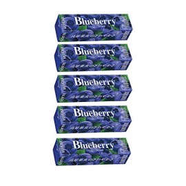 LOTTE CHEWING GUM WITH BLUEBERRY FLAVOR 270G
