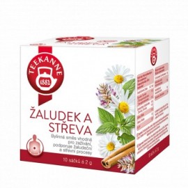 Teekanne Stomach and intestines Tea 18g