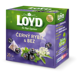 Loyd Blackcurrant And Elderflower 20 Tea Bags