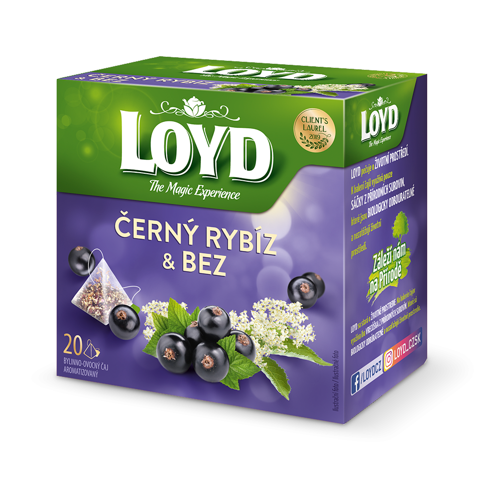 Loyd Blackcurrant And Elderflower 20 Tea Bags