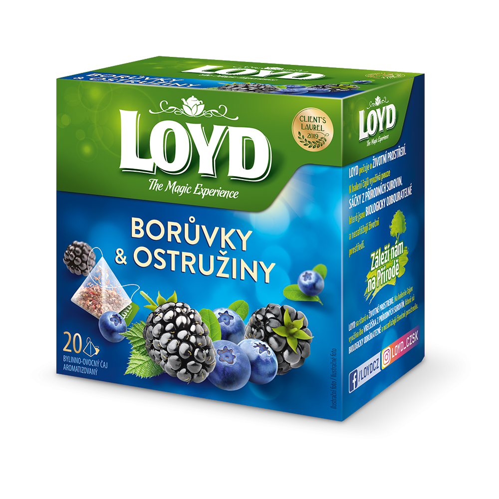Loyd Blaubeeren und Brombeeren 20 Teebeutel