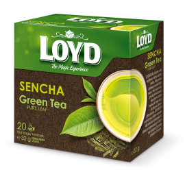 Loyd Sencha 20 Tea Bags