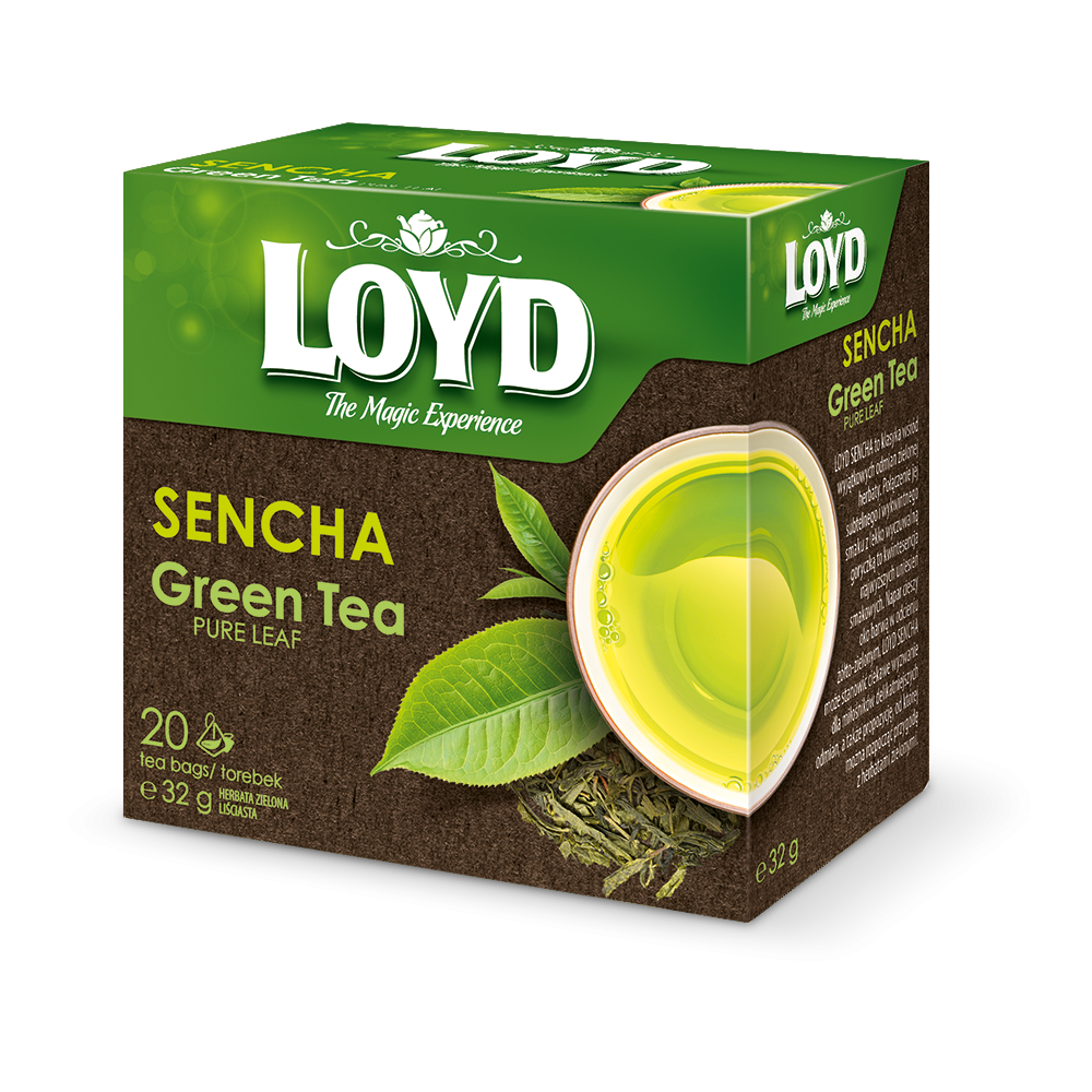 Loyd Sencha 20 Tea Bags