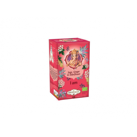 SHOTI MAA Chakras - 1. Chakra: Ich bin - Ayurvedischer Yogi-Tee 32 g