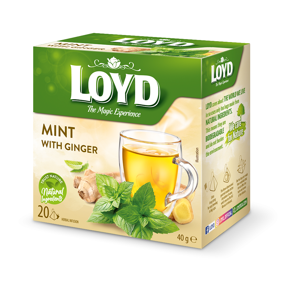LOYD MINT WITH GINGER 20 tea bags