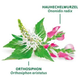 Bad Heilbrunner Blasen- und Nieren / Bladder and Kidneys (8x1,75g)