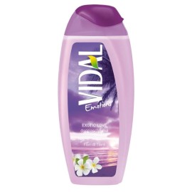 Vidal Emotions Exotic Love shower gel 250 ml / 8.4 fl oz