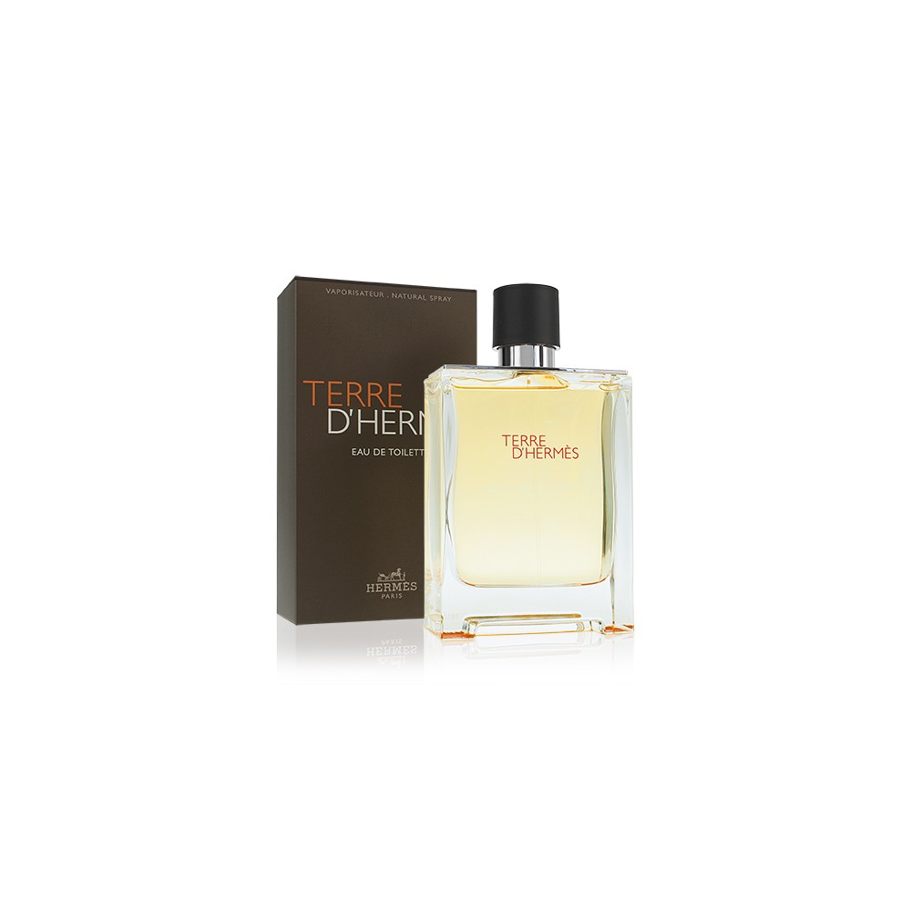 Hermes Terre d'Hermes EDT M 100ml