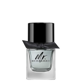 Burberry, Mr. Burberry, Eau De Toilette, For Men, 50 ml