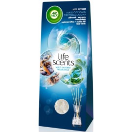 Air Wick Reed-Diffuser Life Scents türkis Oasis 30 ml / 1,0 fl oz