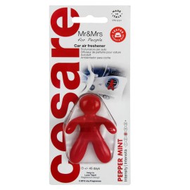 Mr&Mrs Fragrance Cesare Pepper Mint 12 g