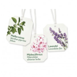 Bad Heilbrunner Kopf-Entspannungs / Head Relaxation (8x2g)