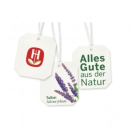 Bad Heilbrunner Salbei / Sage Tea (8x1,6g)