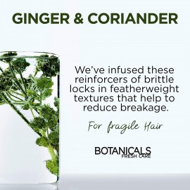 L'Oréal Botanicals Fresh Care Ginger & Coriander Conditioner 200 ml / 6.8 fl oz