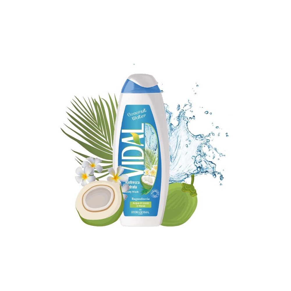 Vidal Coconut Water Shower Gel 250 ml / 8.4 fl oz